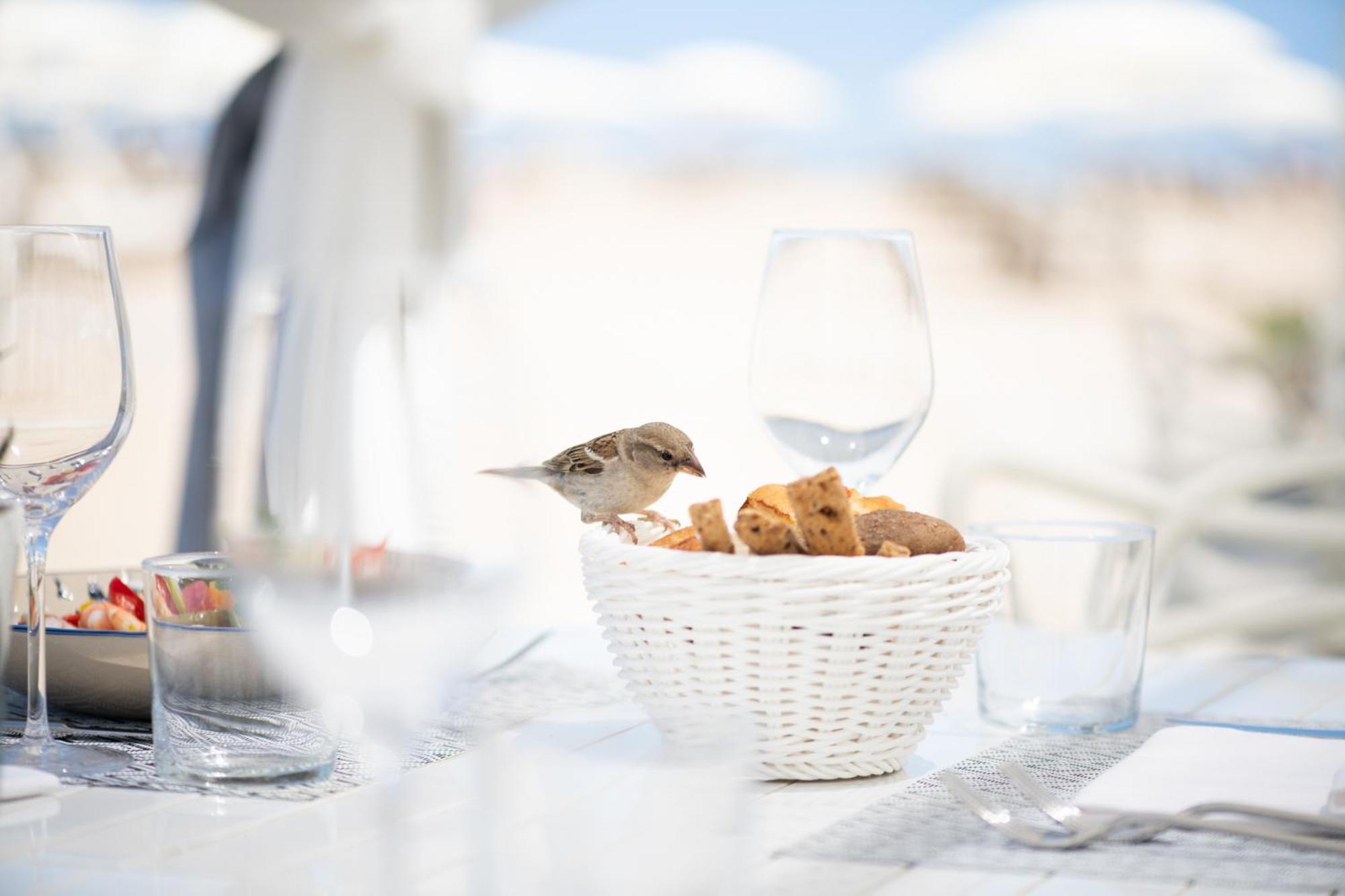 Grand Hotel רימיני מראה חיצוני תמונה A sparrow at the beach